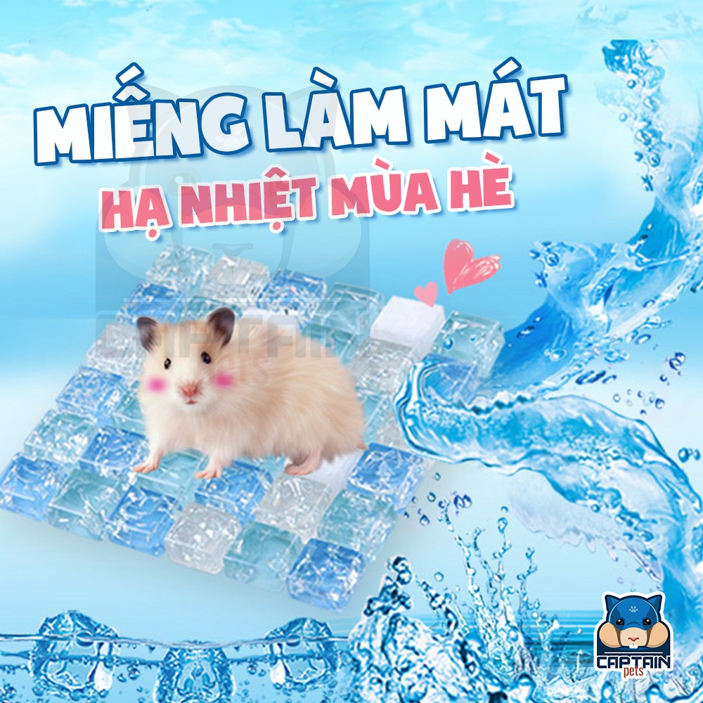 Tấm làm mát size 10x10cm cho Hamster