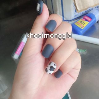 Bộ 24 móng tay giả nhám báo xanh than kèm keo