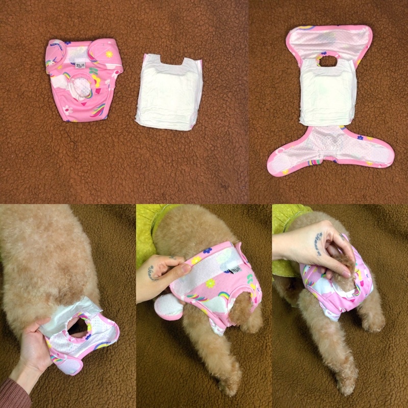 Quần sinh lý new-colors Titpet giành cho cún cái