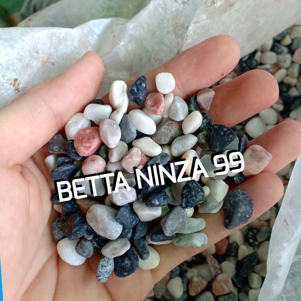 SỎI 4 MÀU TỰ NHIÊN TRANG TRÍ CHO HỒ CÁ/BETTA NINJA