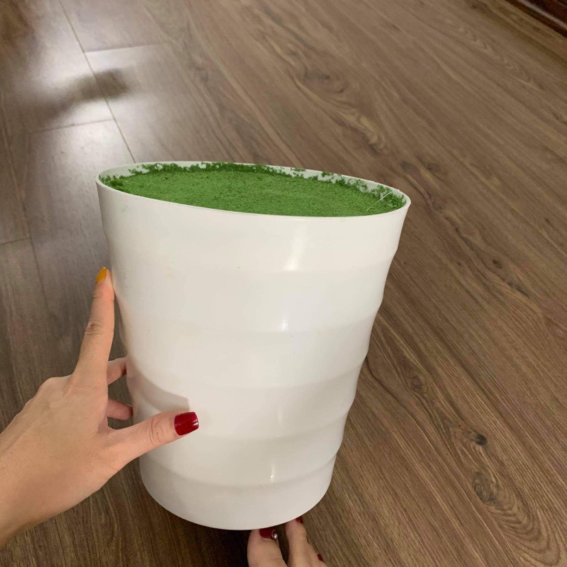 chậu nhựa trắng nhồi xốp phủ rêu xanh 20x23cm (chậu trồng cây giả)