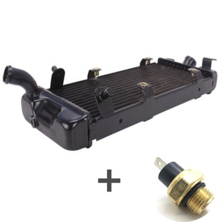 1 Bộ Làm Mát Tản Nhiệt Bình Nước Xe Máy Có Cảm Biến Xe Máy Phần Dành Cho Xe Honda Steed 400 / 600 VLX 400 / 600 Shadow VT600