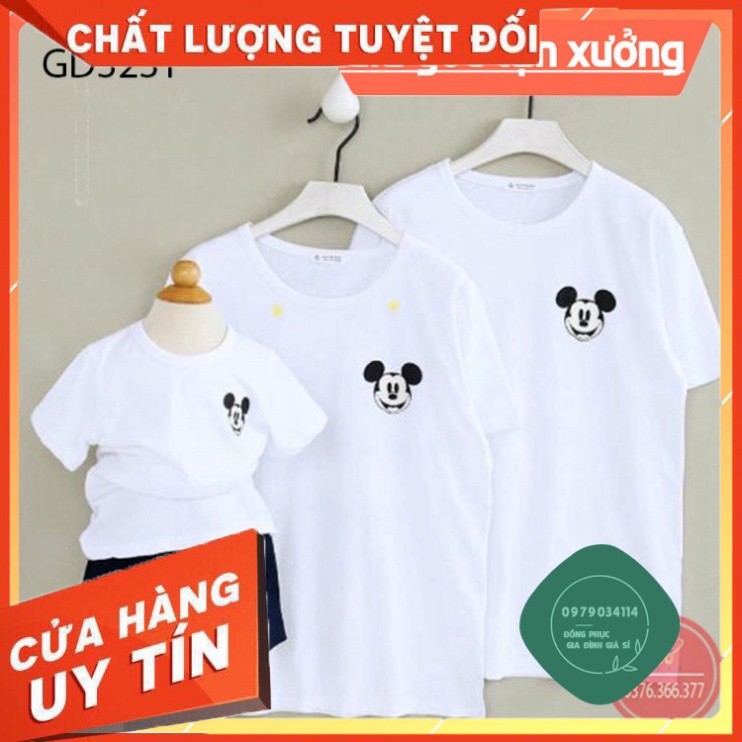 Áo thun giá sỉ Áo Gia Đình Con Gấu - Thun Cotton - Đủ Size GD323T