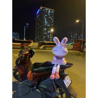 GẤU BÔNG THỎ TAI DÀI