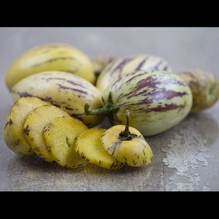 25 Hạt Hạt Giống Dưa Pepino (Solanum muricatum)