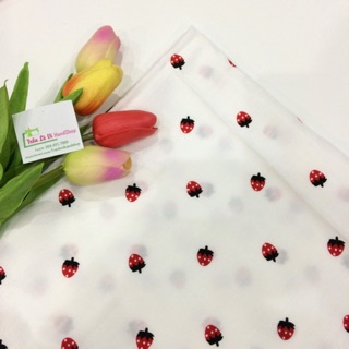 VẢI ĐŨI CAO CẤP 🍓V169