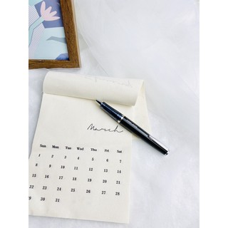 BÚT BI CAO CẤP PILOT AGELESS (MADE IN JAPAN)