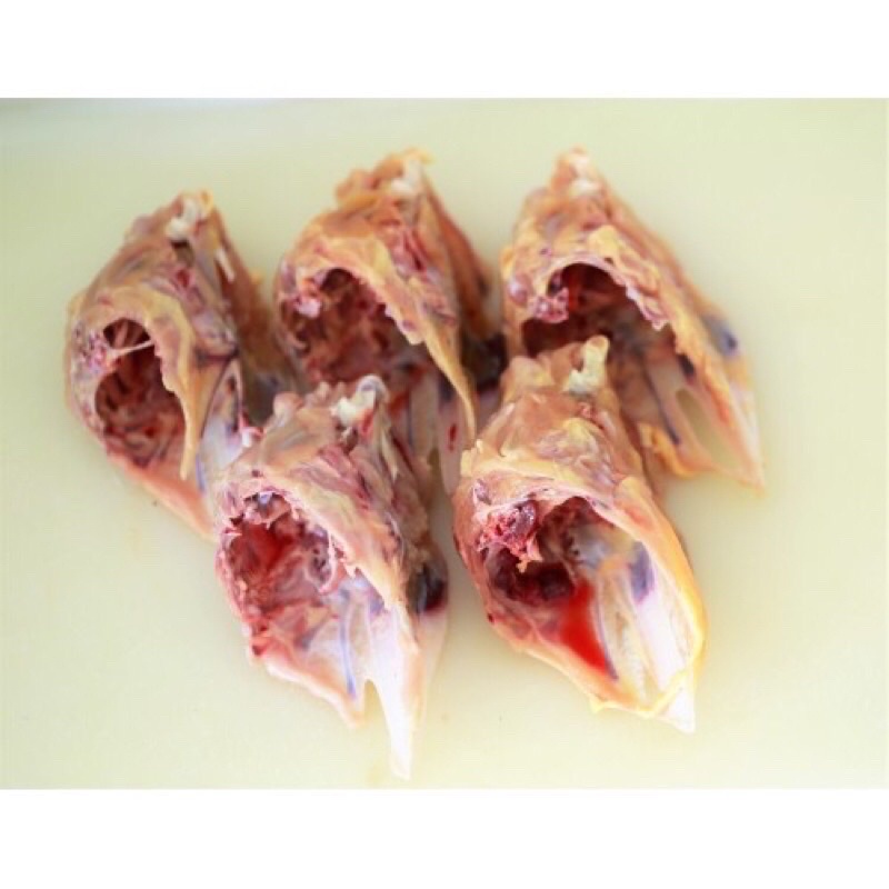 1 kg đầu gà, đầu vịt , xương gà tươi sống
