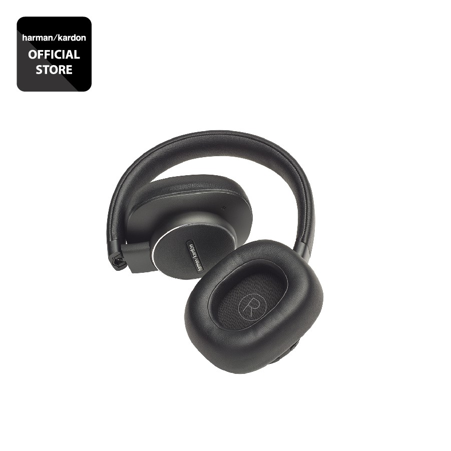 Tai nghe Bluetooth Harman Karrdon FLY ANC - Hàng Chính Hãng