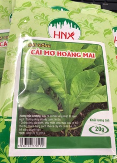 Hạt giống Cải mơ Hoàng Mai 🍀