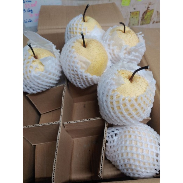 HCM Free Ship - 1kg Lê Đường VIP Siêu To Tươi Giòn Ngọt Lịm