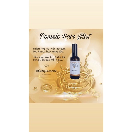 POMELO Hair Mist - Xịt Bưởi Kích Mọc Tóc X2 ( Handmade )