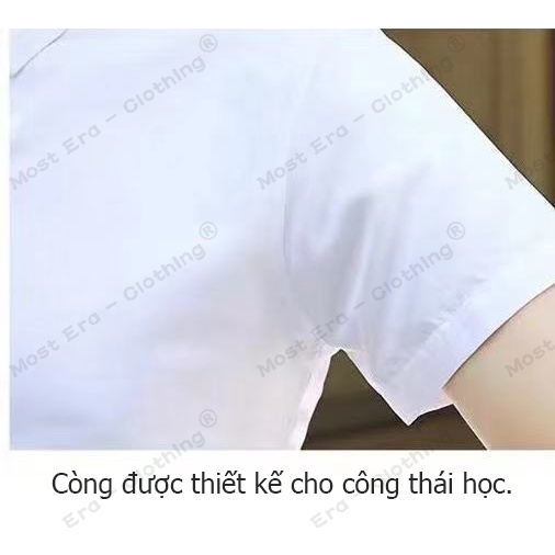 Áo sơ mi nam ngắn tay, quần áo phỏng vấn