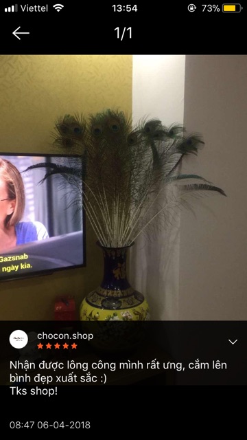 Lông công xanh thật 100% -mắt đại - 88cm | BigBuy360 - bigbuy360.vn