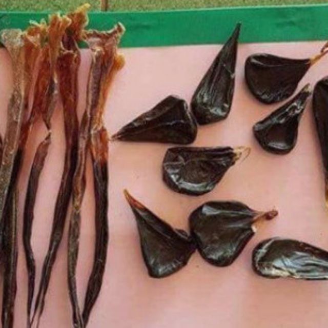 Sỉ toàn quốc mật kỳ đà