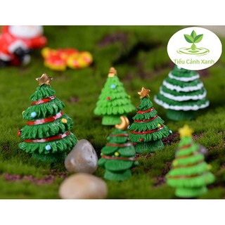 Thông Noel Giáng sinh - tiểu cảnh