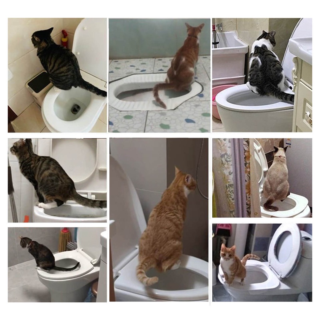 Khay đi vệ sinh cho mèo lớn chuyên nghiệp, nhiều màu sắc, huấn luyện chỗ ngồi vệ sinh có thể tháo rời và tái sử dụng