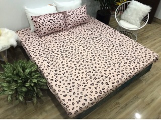 Combo set Ga Gối poly