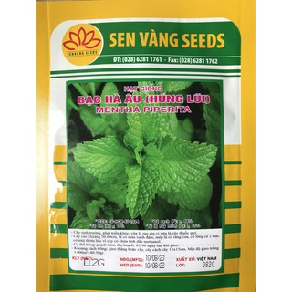 Hạt giống Rau Bạc Hà (Húng Lũi)