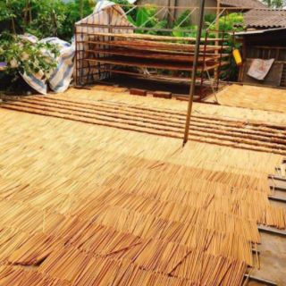 Đũa Gỗ Kim Giao núi đá
