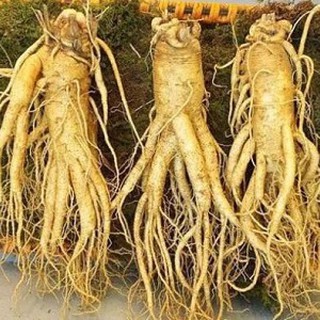 Kho Sỉ Hàng Hàn - Lan Anh Shop