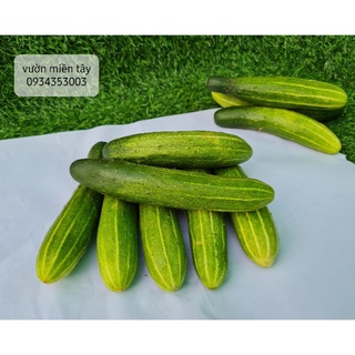 Dưa leo ở quê - 500g,1kg