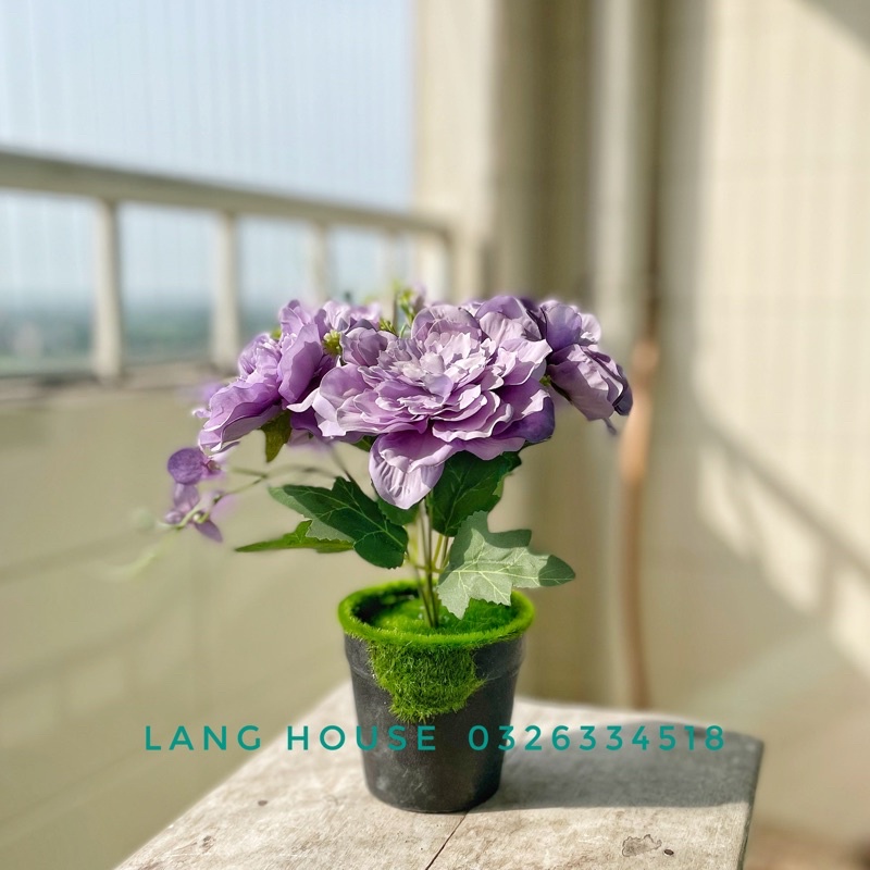 Lọ Hoa - CHẬU CẮM HOA PHỦ SẴN CỎ NHÂN TẠO Cao 10cm Chậu Hoa Trang Trí Decor Phòng Khách