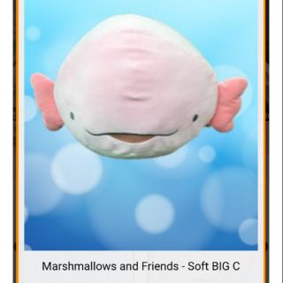 Bộ cá Marshmallows and friends