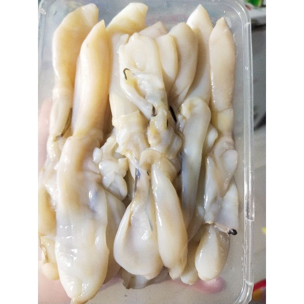 Ruột ốc móng tay làm sạch (hộp 500g)