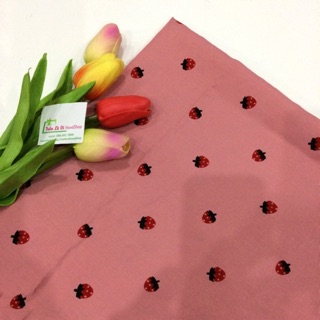 VẢI ĐŨI CAO CẤP 🍓V169