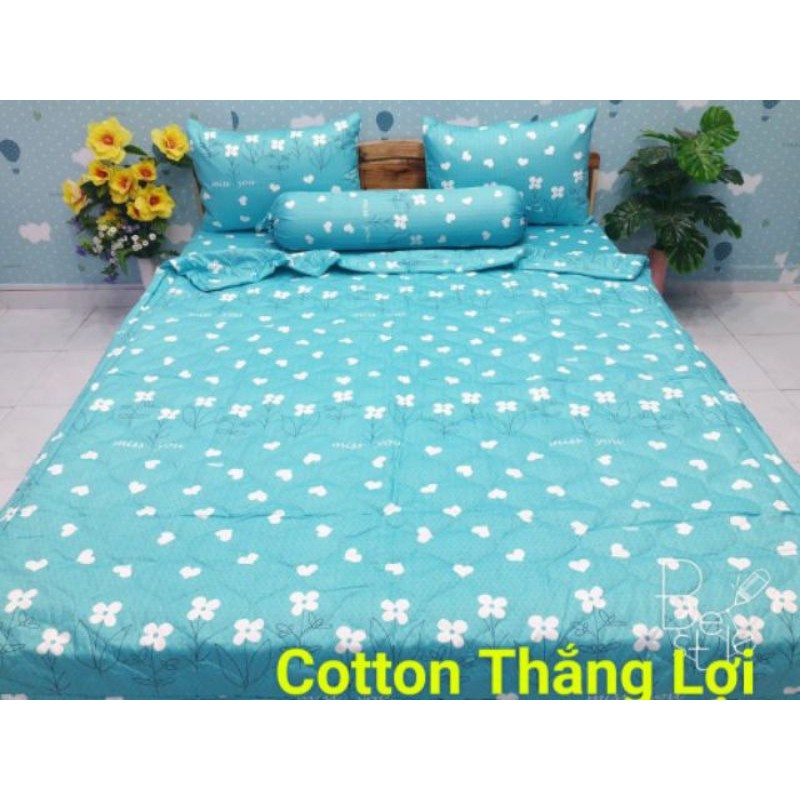 Ga lẻ 1m x 2m Cotton Thắng Lợi 100% chuẩn logo( không kèm áo gối) được chọn mẫu