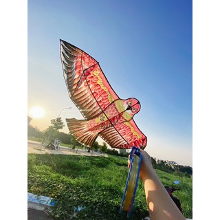 (MUA 1 THÀNH 3) DIỀU ĐẠI BÀNG KÍCH THƯỚC LỚN 2M4