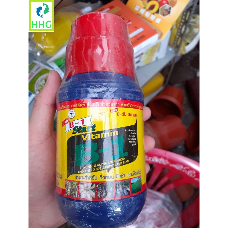 THUỐC KÍCH RỄ VITAMIN B1-THAILAND FUJI START 500ML - B1 THÁI 500ML