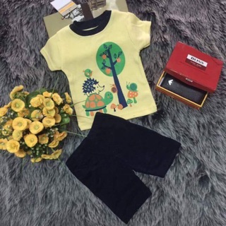 Set 4 bộ bé trai hiệu carter