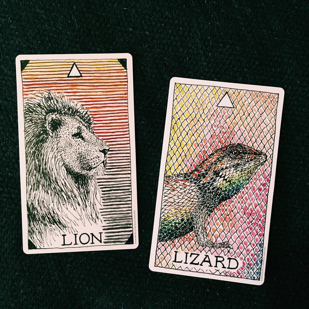 Bộ Bài Animal Spirit Deck (Mystic House Tarot Shop) - Bài Gốc Authentic Chính Hãng 100%