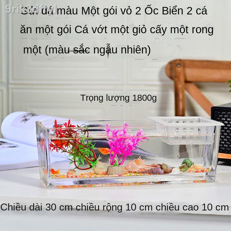 ✣ ✿∋♗Một lần đúc bể cá nhỏ thủy tinh dài bảy màu vành đai trong suốt giỏ trồng đơn giản bàn phòng khác