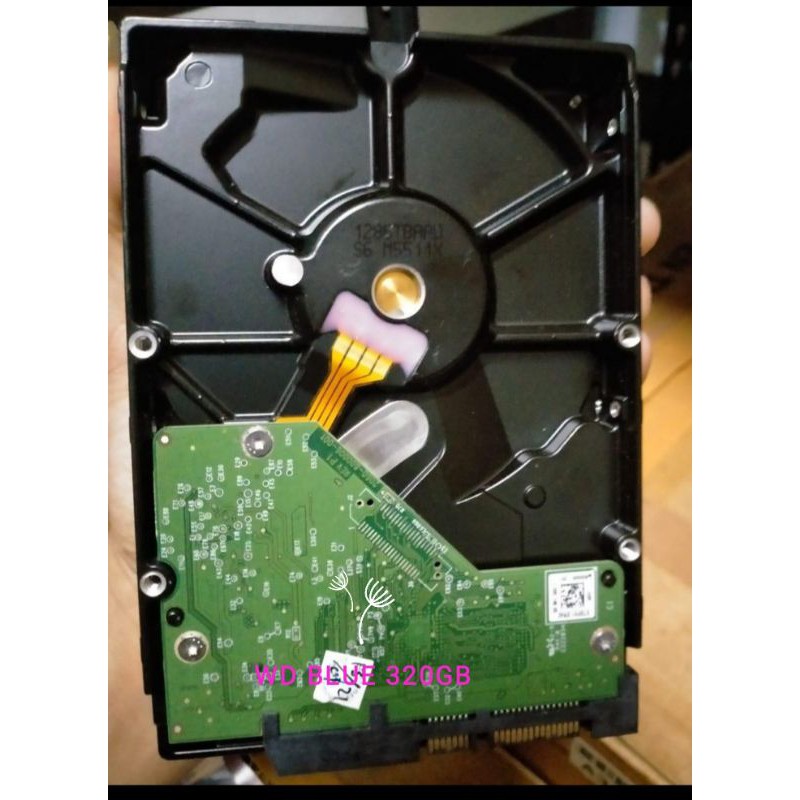 Ổ Cứng Màu Xanh 320 Gb Wd Cho Cctv & Computer - Hdd 320 Gb | BigBuy360 - bigbuy360.vn