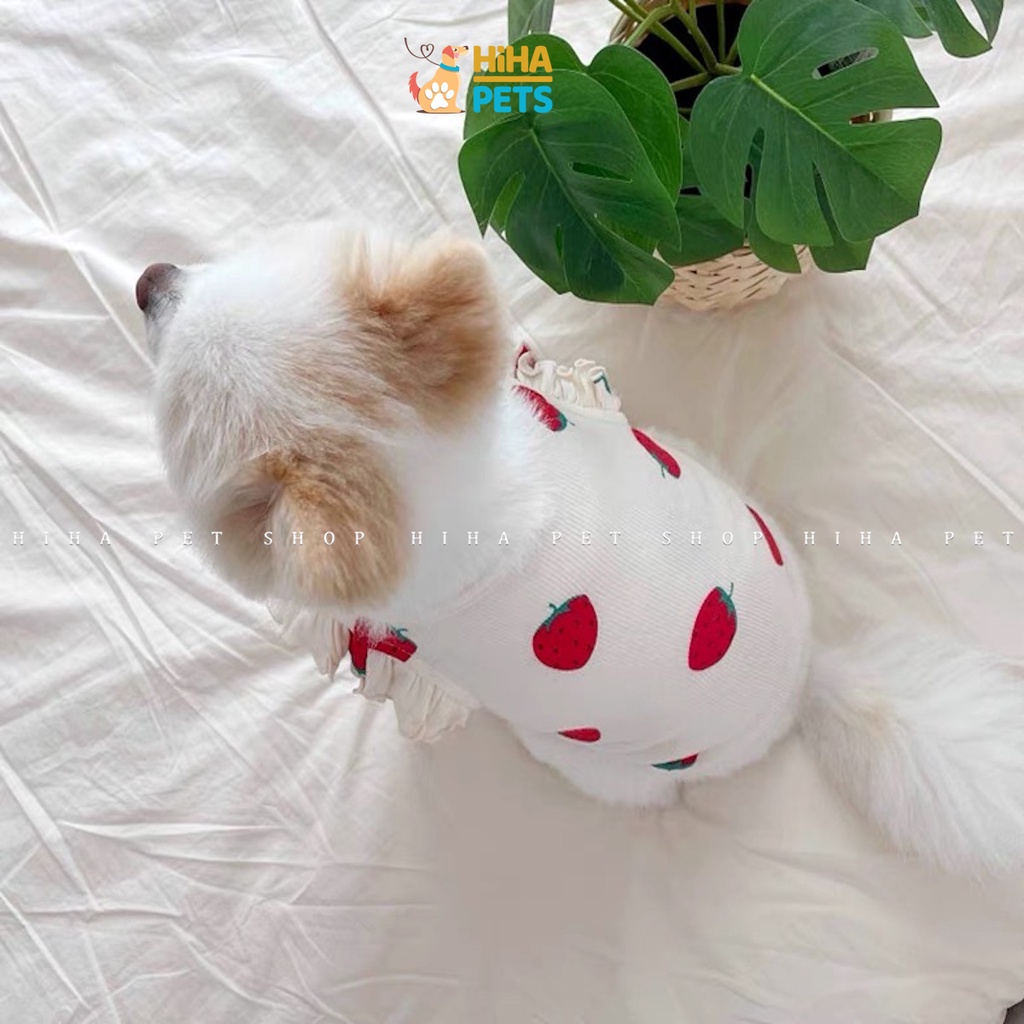 Áo Thun Dâu Cho Chó Mèo Hàn Quốc Quần Áo Thú Cưng Mùa Hè 2022 Giá Rẻ Đẹp Hihapet.