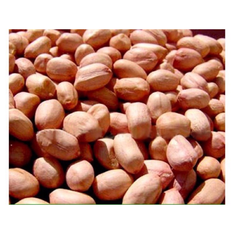 Lạc quê bóc tay ngon