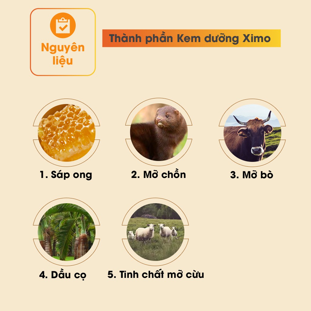 Kem dưỡng đồ da chuyên sâu 80ml XIMO giúp bảo dưỡng, làm mới, tái tạo đàn hồi cho da giày, áo da, túi ví, ghế da XXI04