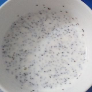 NẤM KEFIR SỮA CHUA HY LẠP (NẤM TUYẾT)