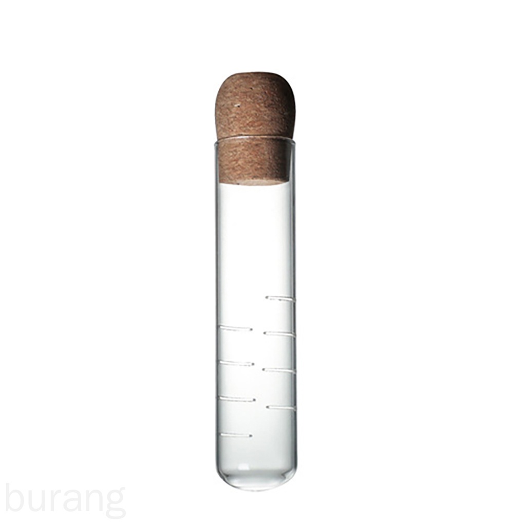 Ống lọc trà bằng thủy tinh trong suốt