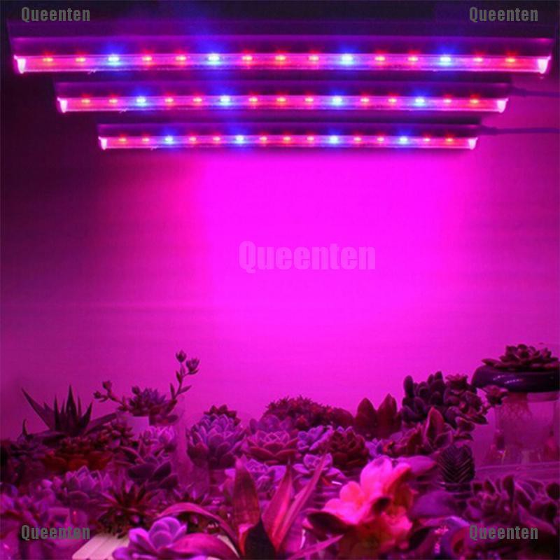 Bóng Đèn LED T5 Hỗ Trợ Cây Trồng Trong Nhà