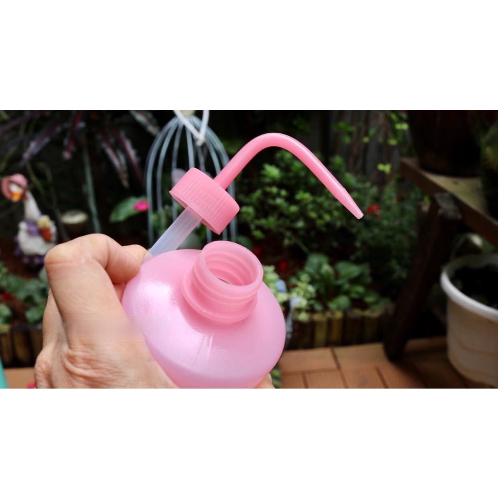 Bình vòi cong 250ml/500ml tưới sen đá xương rồng, cây để bàn văn phòng, bình châm dầu nhớt xe