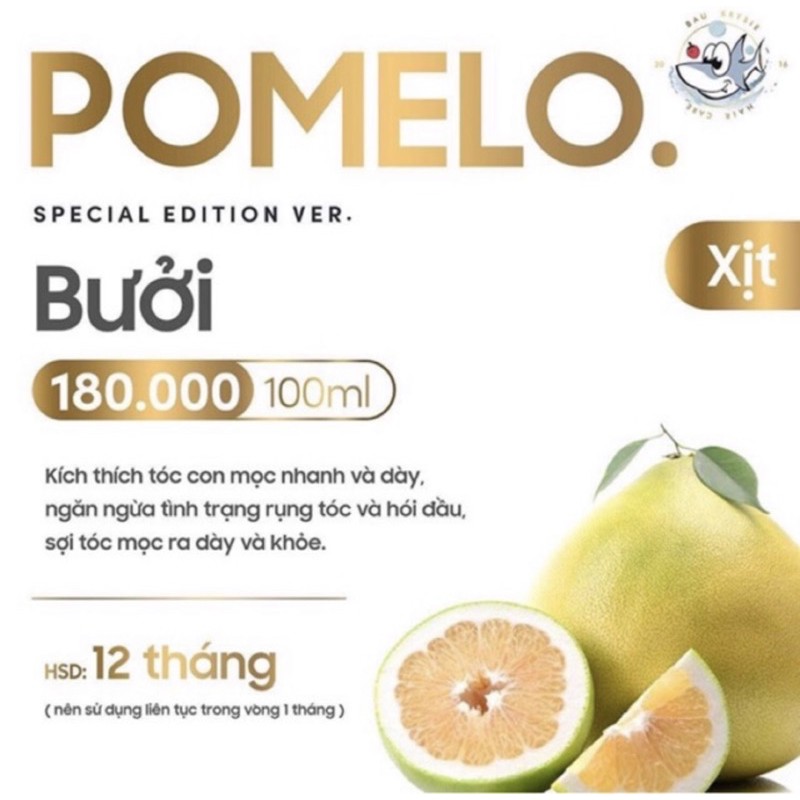 POMELO NEW 2021 - Tinh dầu Bưởi Bau Krysie 🎁 mask giấy/cột tóc + thiệp | BigBuy360 - bigbuy360.vn