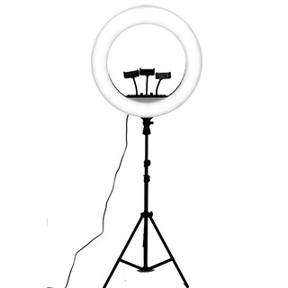 đèn live trim đường kính 45cm