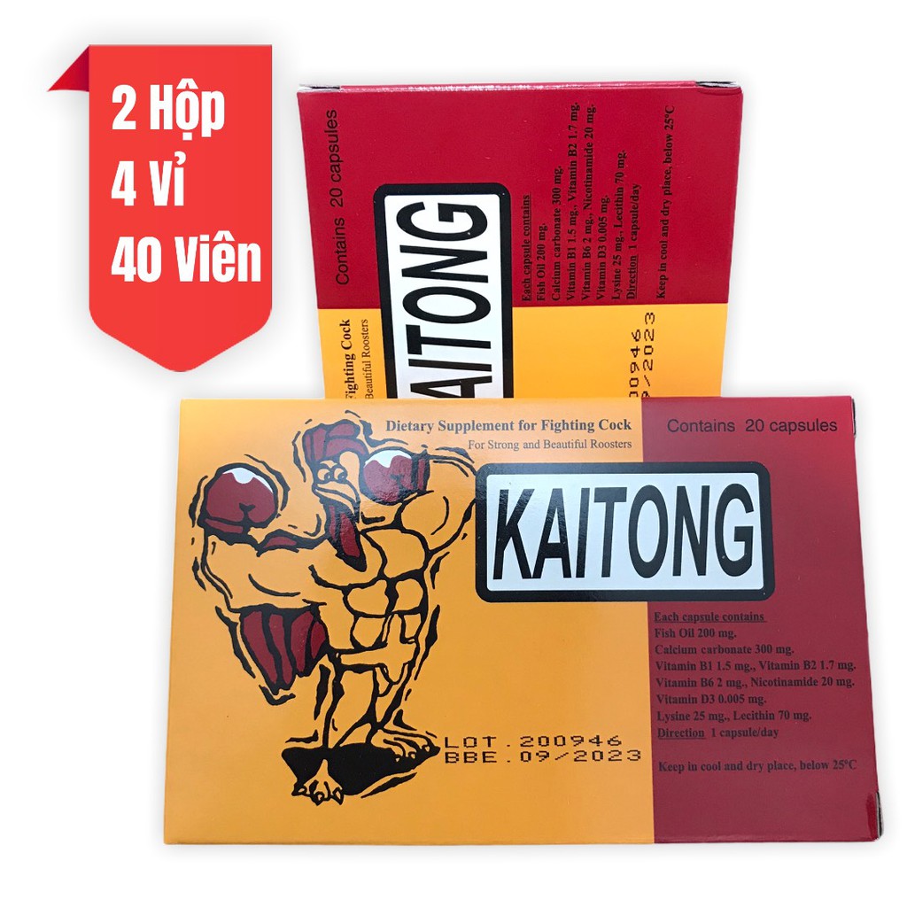 2 Hộp 40 Viên KAITONG - KÍCH LỰC, SUNG MÃN, TĂNG BO, DẺO DAI - Bán th.uốc gà đá Nam Nguyễn