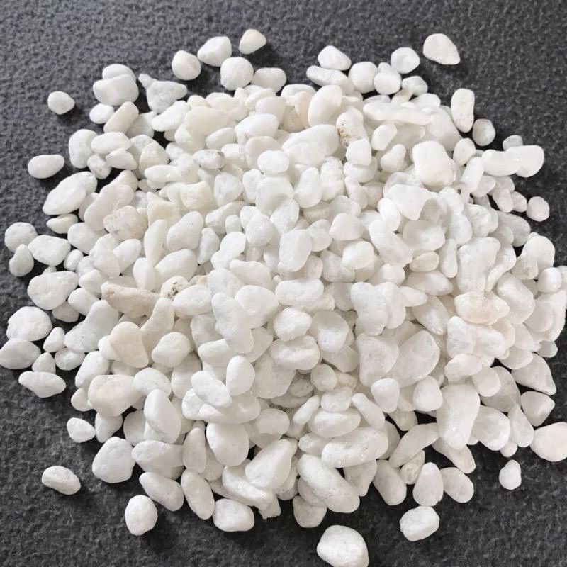 1 kg Sỏi trắng trang trí tiểu cảnh, bể cá 1kg