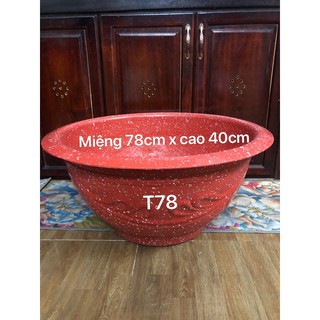 Chậu nhựa trồng cây 2 cái T78 vân đỏ