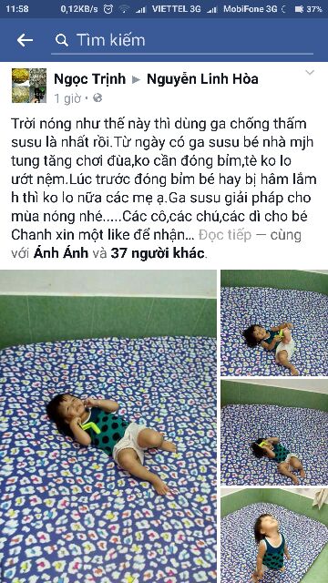 Ga chống thấm cotton lụa Su Su.